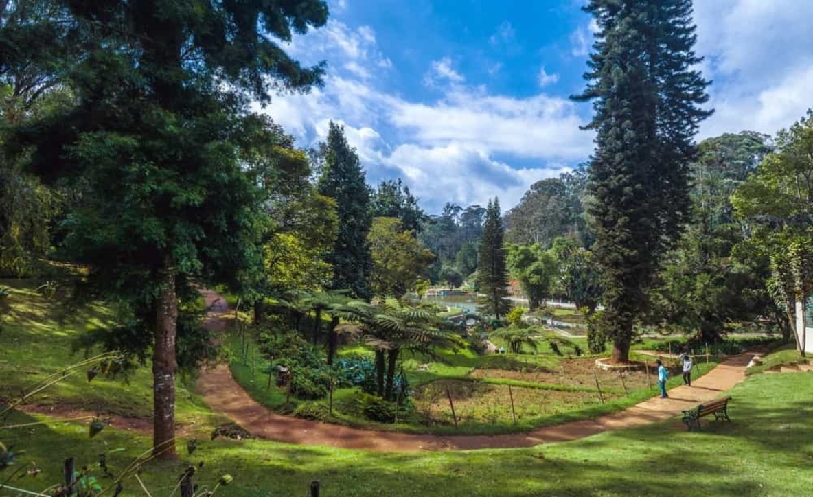 Ooty Kodaikanal tour packages, Ooty Kodaikanal tour package, Ooty Kodaikanal tour,